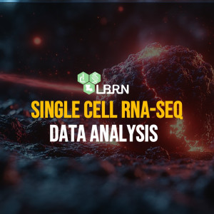 Single Cell RNA-Seq Analysis