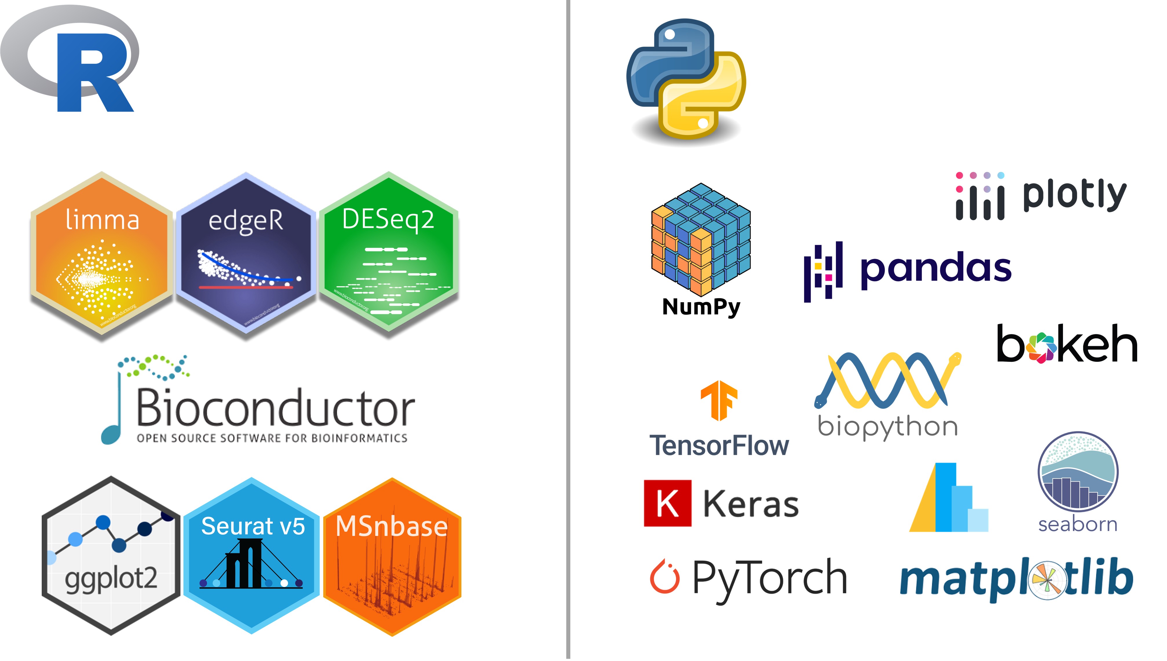 Cracking the Code of Life: The Role of R and Python in Omics Data Analysis
